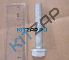 ���� ���������  